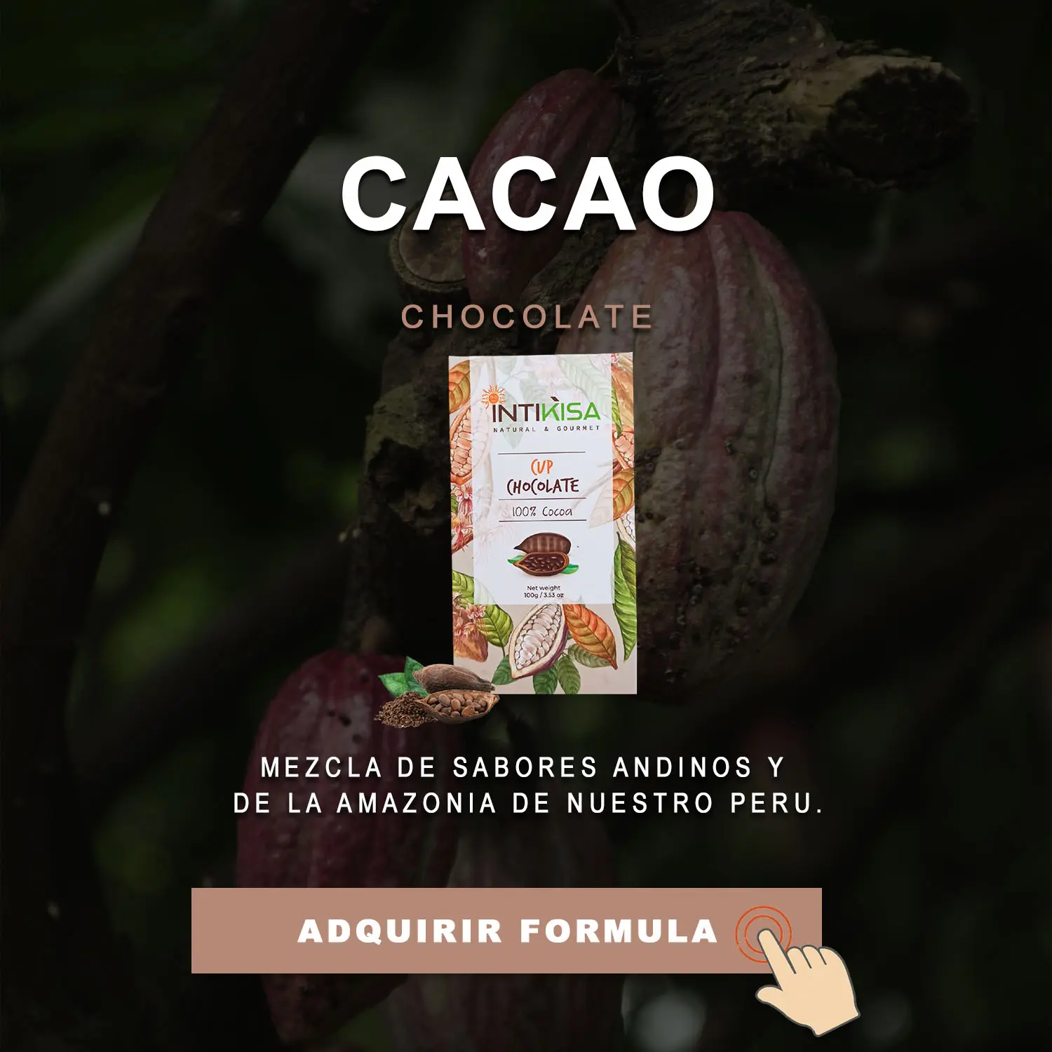 Banner Cacao Web Movil