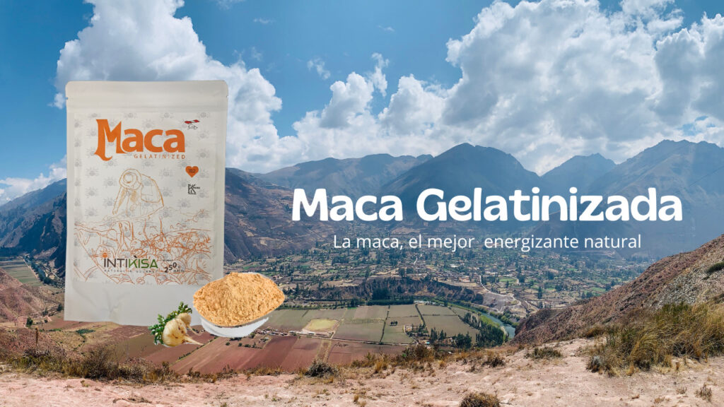 Banner Maca Gelatinizada