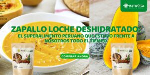 Zapallo Loche Deshidratado: El Superalimento Peruano que Estuvo Frente a Nosotros Todo el Tiempo