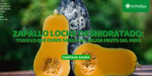 Zapallo Loche Deshidratado: Todo lo que debes saber del mejor fruto del perú